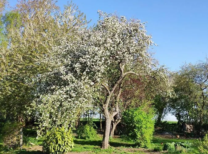 Gite Aische-En-Refail